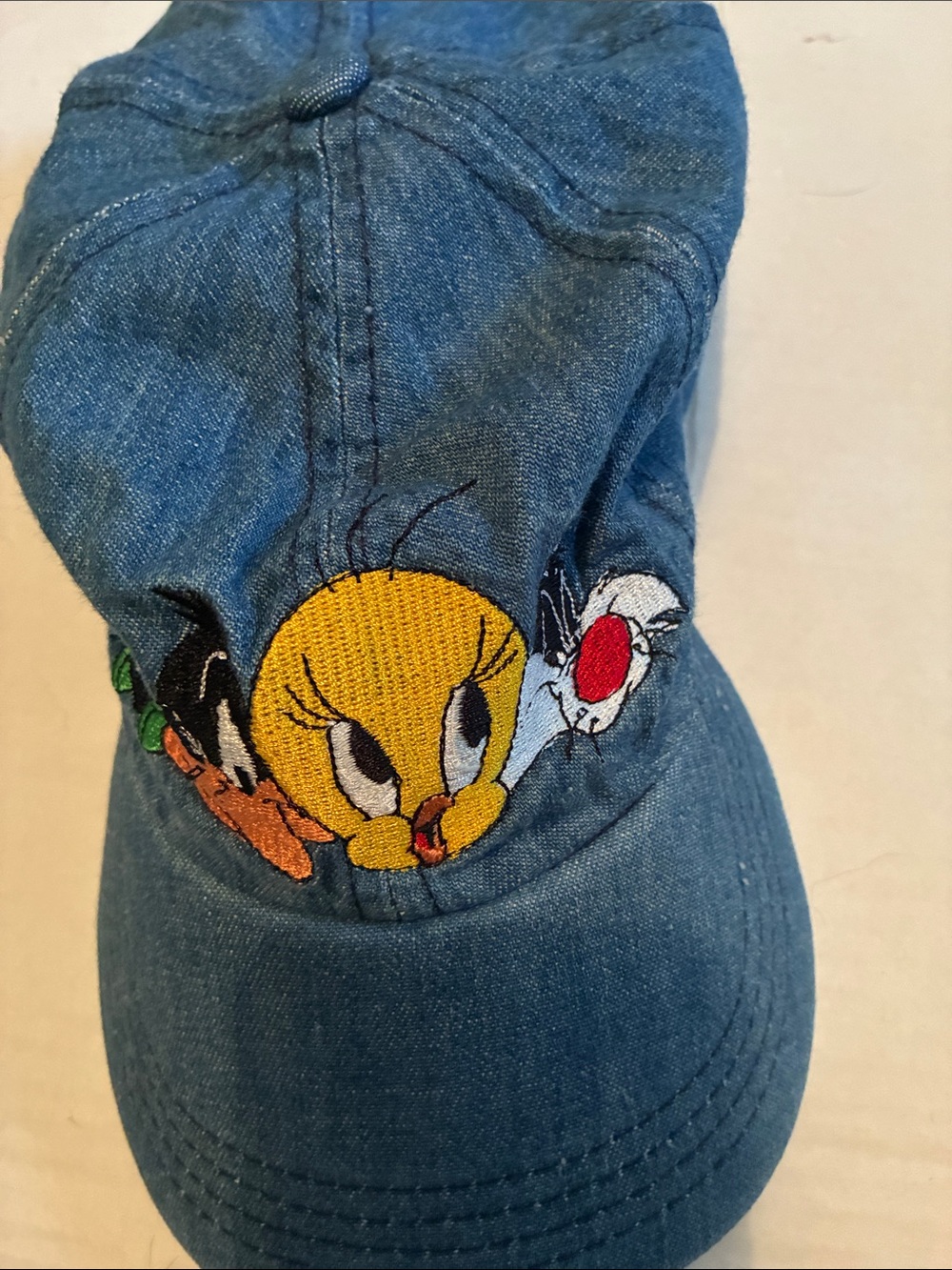 Adult Unisex Adjustable Embroidered Denim Cap - Blue. Warner Brothers Studio